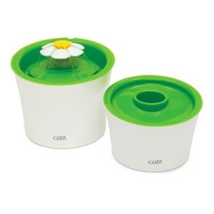 Catti (small dog) drinking fountain and food bowl